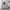 Adjustable Chair on Wheels - Grey Seat / White Cushion